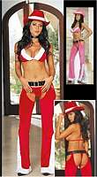 DG-4115 Sexy Velvet and Faux Fur Christmas Xmas Chaps Set