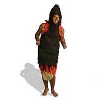 Funny Adult Costumes